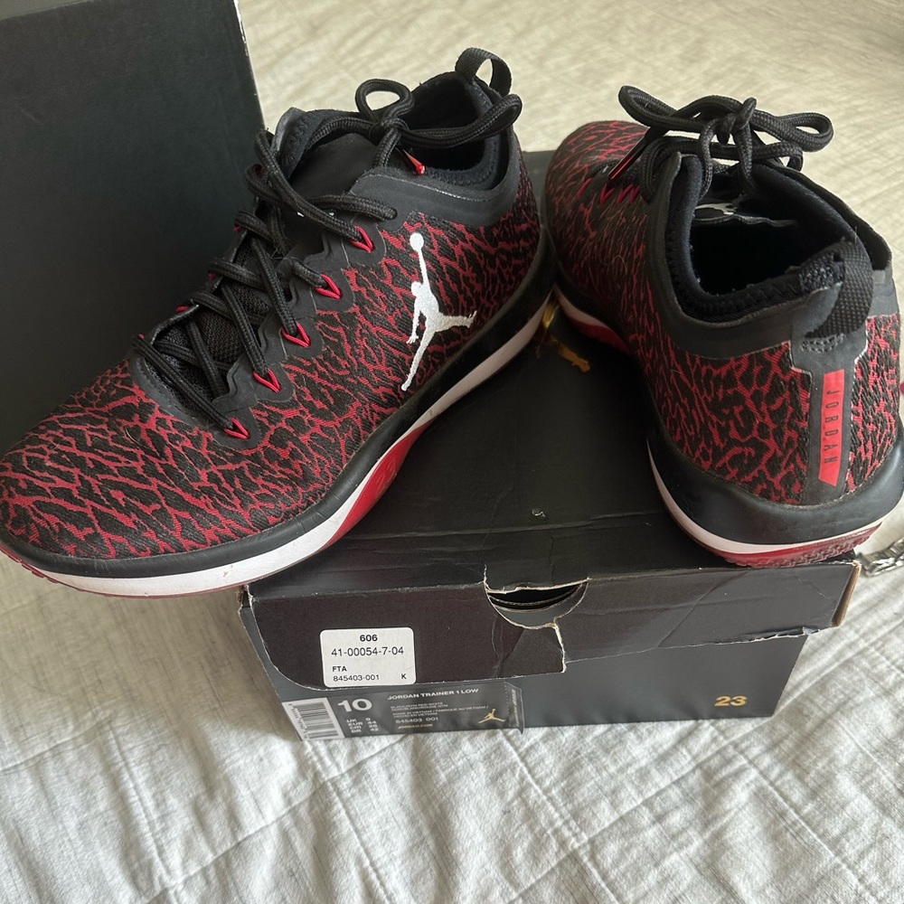 Jordan trainer 1 low